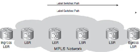 Gambar 2. 1 Komponen MPLS 