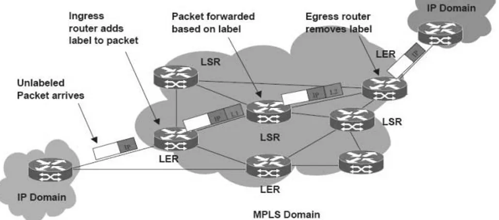 Gambar 2.8 Komponen MPLS 