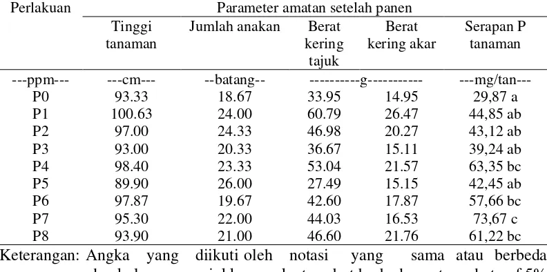 Tabel 6. Tinggi tanaman, jumlah anakan, berat kering tajuk, berat kering akar dan   serapan P tanaman