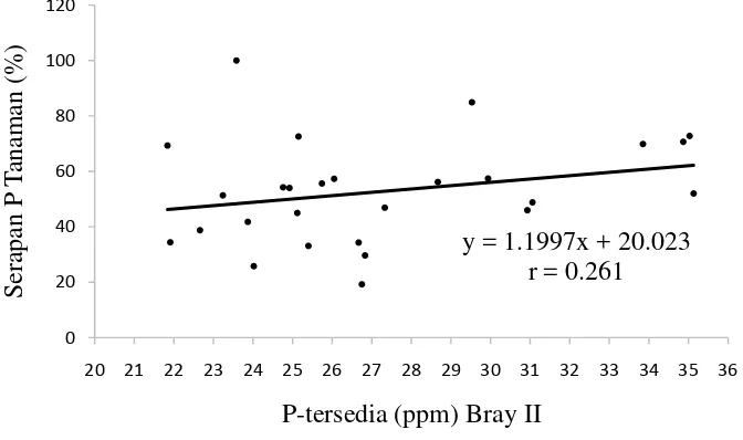 Gambar 1. Korelasi P tersedia metode Bray II terhadap serapan P tanaman 