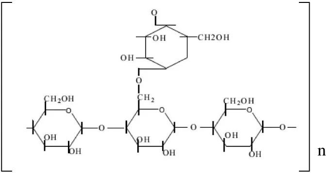 Gambar 2.4. Struktur Kimia Amilopektin (Boediono, 2012) 