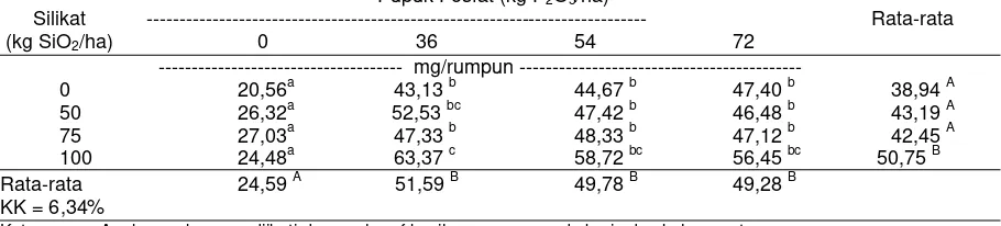 Tabel 5. Serapan P oleh Padi Gogo pada Lahan Ultisol Setelah Diaplikasi Silikat dan Pupuk Fosfat 