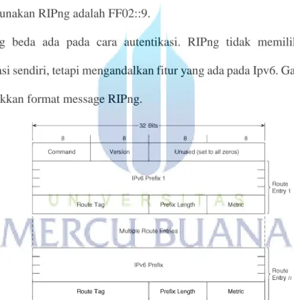 Gambar 2.10 format message RIPng 