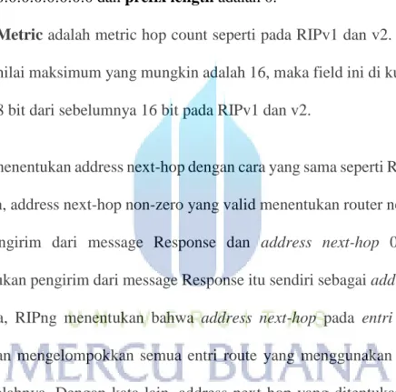 Gambar berikut menunjukkan format entri route next-hop. Address 128-bit berupa  address IPv6 atau router lain, atau jika berupa :: berarti address dari pengirim