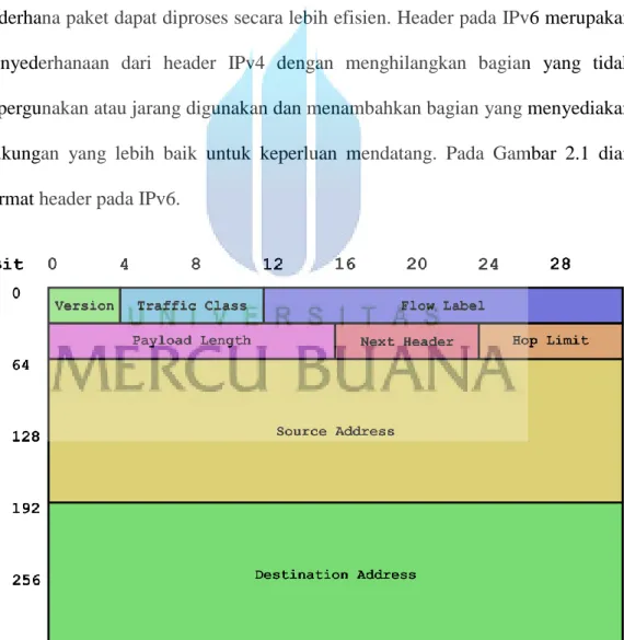 Gambar 2.1 Format Header IPv6 