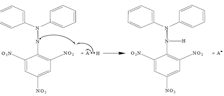 Gambar 9. Mekanisme reaksi radikal DPPH dengan antioksidan (Windono dkk..2001; Pribadi, 2009) 