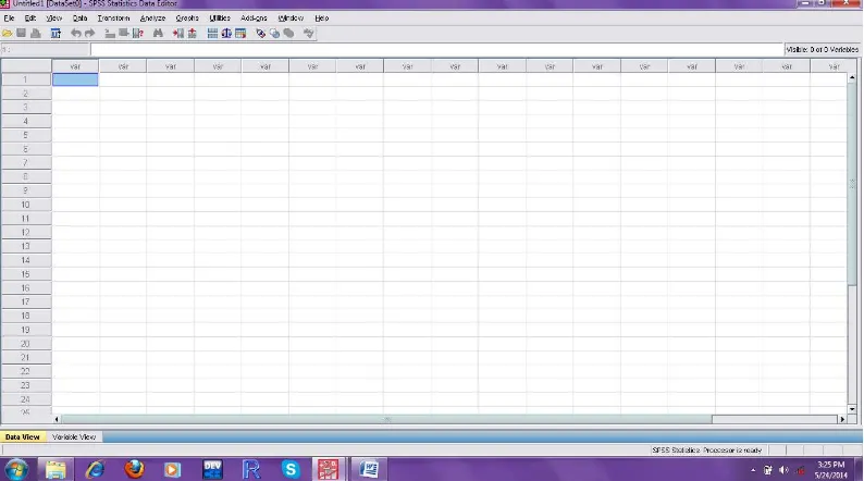 Gambar 5.2 Tampilan Worksheet SPSS 17,0 For Windows 