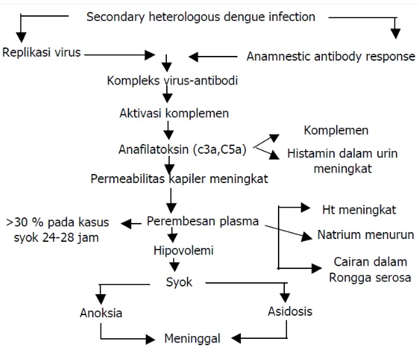 Gambar 2.6 Patogenesis terjadinya syok pada DBD (Depkes RI, 2010) 