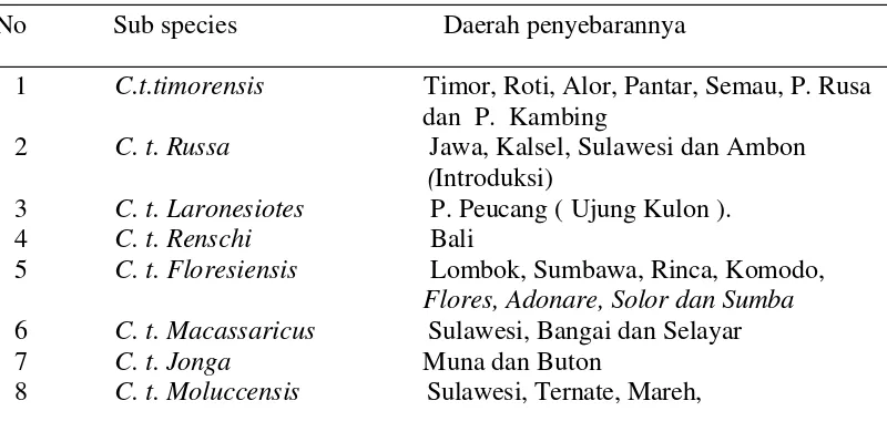 Tabel 1  Penyebaran rusa timor (Cervus timorensis) di Indonesia 