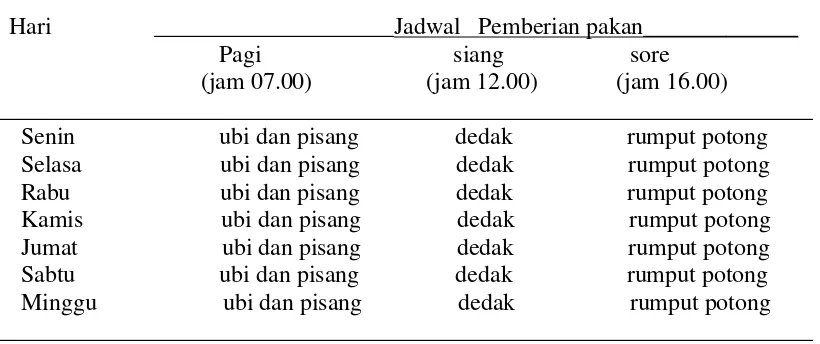 Tabel 3 Jadwal pemberian makanan tambahan pada rusa di penangkaran  Jonggol 