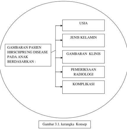 GAMBARAN PASIEN 