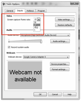 Gambar 2.13 Pengaturan frame rate di tab Inputs pada jendela   Tool Options  