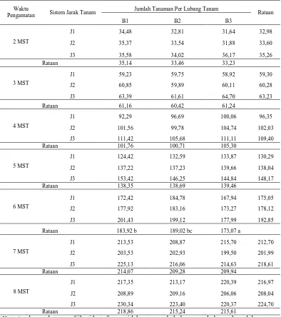 Tabel 1. Rataan tinggi tanaman jagung (cm) umur 2, 3, 4, 5, 6, 7 dan 8 MST  pada perlakuan sistem jarak tanam dan jumlah tanaman per lubang tanam  