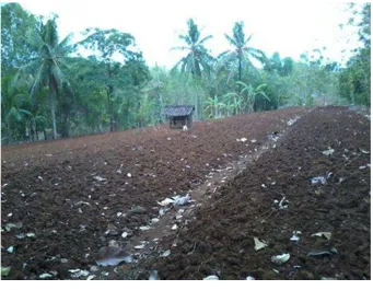 Gambar 1.