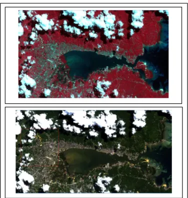 Gambar 8. Peta Citra Komposit 432 dan 321 (RGB) di Teluk Kota Kendari 