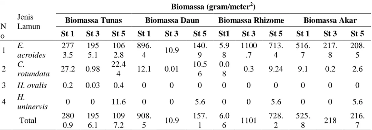 Tabel 4. Biomassa Tunas, Daun Rhizome dan Akar dari Lamun pada Tiga Titik Pengamatan  di Perairan Teluk Gunung Botak 