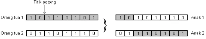 Gambar 1.6 Rekombinasi Satu Titik Potong pada Posisi 2 (Suyanto, 2008) 