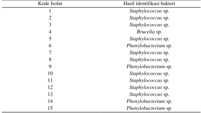 Tabel 2. Hasil Identifikasi Bakteri 