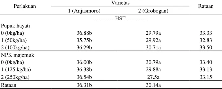 Tabel  3. Rataan umur berbunga tanaman (HST)  pada varietas dan pupuk hayati serta pupuk NPK  majemuk 