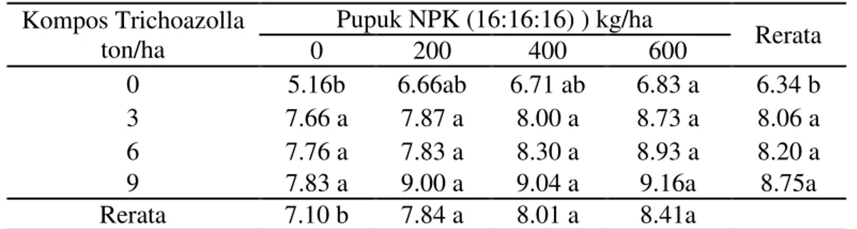 Tabel  7.  Rerata  berat  tongkol    berkelobot/Plot  (kg)  dengan  pemberian  kompos  Trichoazolla dan pupuk NPK (16:16:16) 