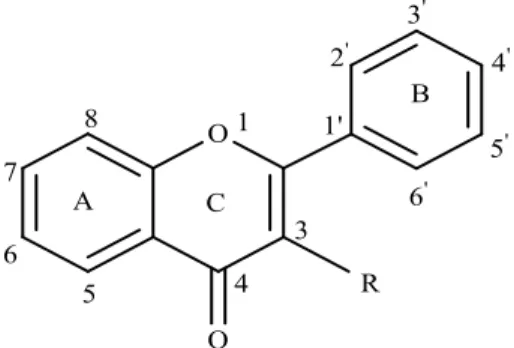 Gambar 2.8 Struktur Dasar Senyawa Flavonoid 