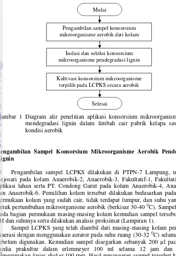 Gambar 1 Diagram alir penelitian aplikasi konsorsium mikroorganisme untuk 