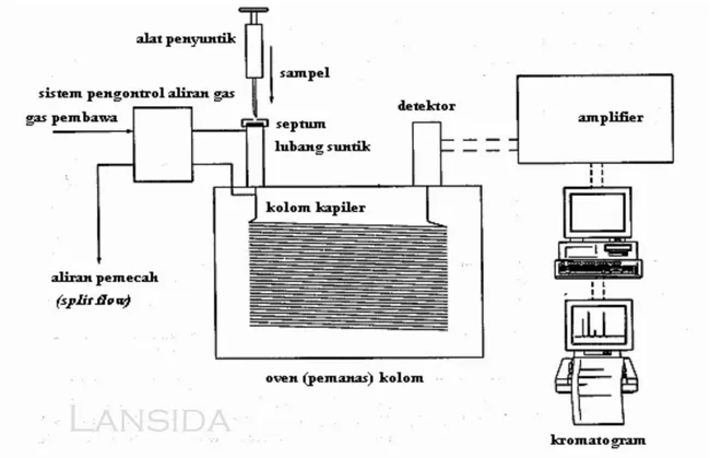 Gambar 2.3. Skema cara kerja  Kromatografi Gas 