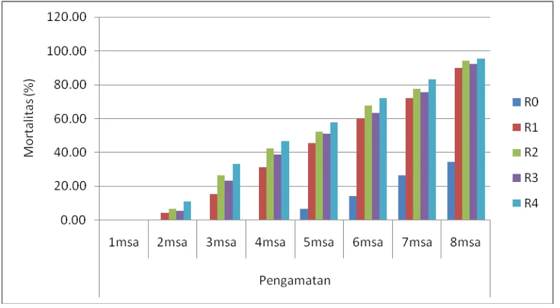 Gambar 9. Histogram pengaruh aplikasi jamur terhadap mortalitas (%) pupa               S