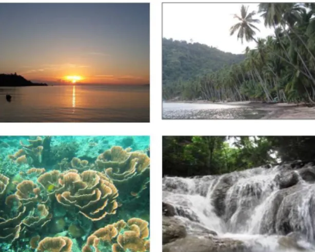 Gambar 1. Potensi  wisata  Desa  Namu:  sunrise,  pesisir  pantai Namu, pemandangan bawah laut, dan  air  