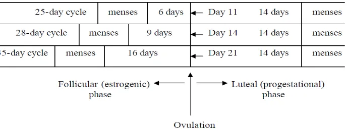 Gambar 1. Variasi Siklus Menstruasi 