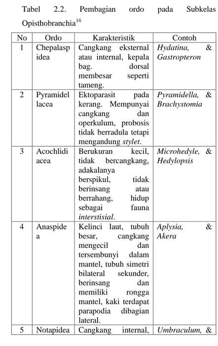 Tabel  2.2.  Pembagian  ordo  pada  Subkelas  Opisthobranchia 16