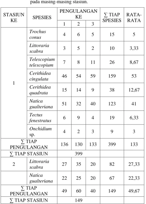 Tabel  4.1.  Rincian  data  hasil  identifikasi  Gastropoda  pada masing-masing stasiun