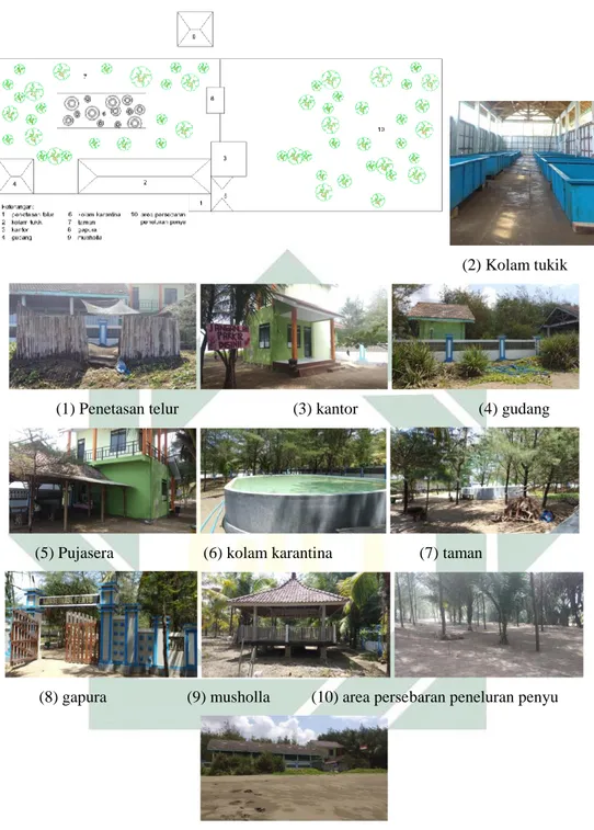 Gambar 2.2  Kondisi eksisting Konservasi Penyu Kili-Kili  Sumber: hasil survei lapangan tahun 2018 