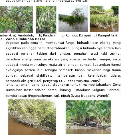 Gambar 4. a) Kenduduh,     b) Pandan       c) Rumput Kumpai   d) Rumput tekic. Zona Tumbuhan Besar