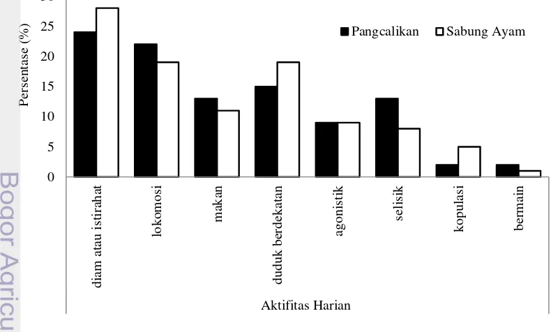 Gambar 1 Grafik perbandingan aktivitas harian kelompok Pangcalikan dengan 