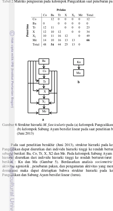 Tabel 2 Matriks pengusiran pada kelompok Pangcalikan saat penebaran pakan 