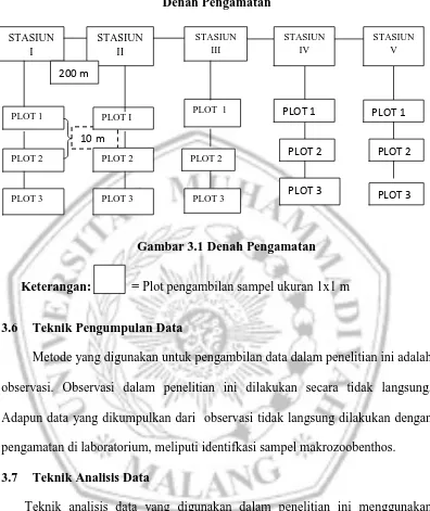 Gambar 3.1 Denah Pengamatan 