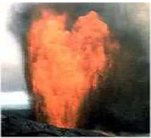 Gambar 2.6 : Material G. Merapi