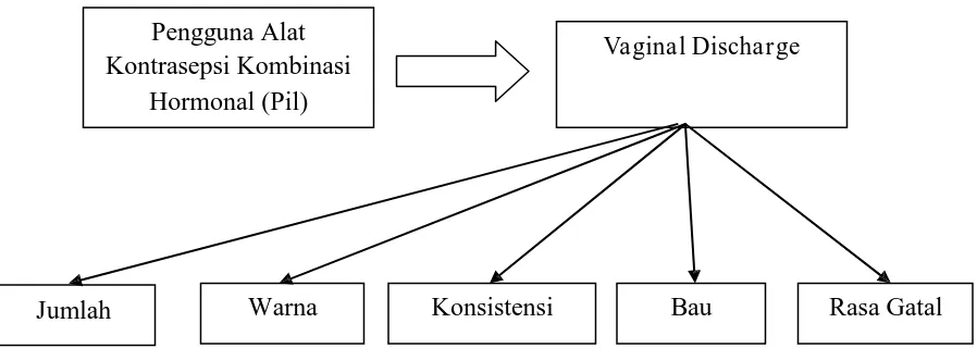 Gambar 3.1. Kerangka Konsep Penelitian 