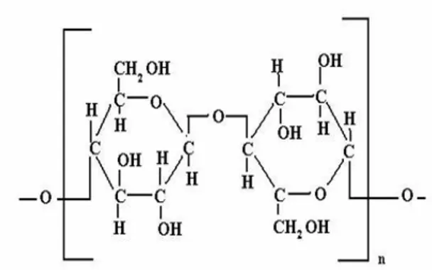 Gambar 2. Struktur Molekul Selulosa 