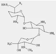 Gambar 1. Struktur gentamisin (Goodman dan Gilman, 2008) 