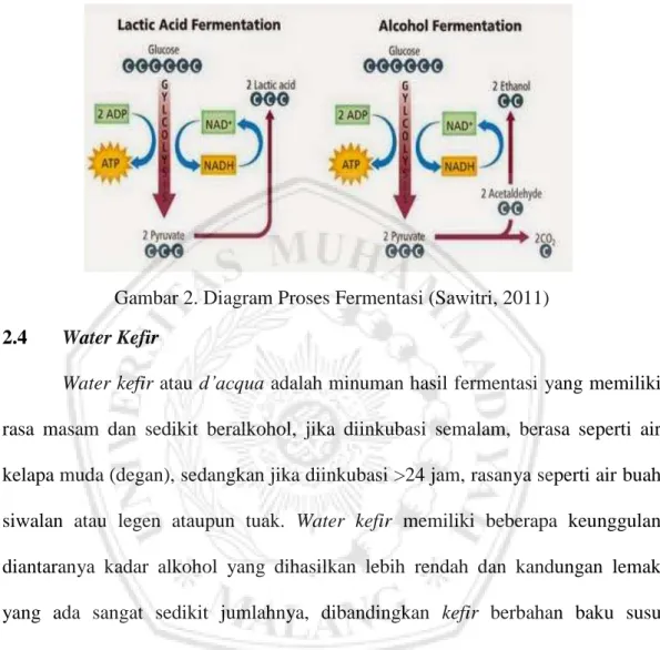 Gambar 2. Diagram Proses Fermentasi (Sawitri, 2011) 2.4  Water Kefir 