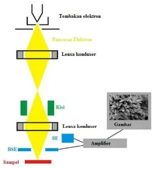 Gambar 9. Skematik alat Scanning Electron Microscopy (SEM) (Reed, 1993).