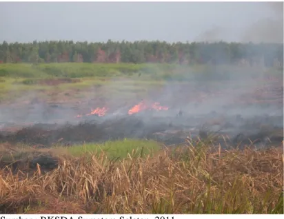 Gambar  di  bawah  ini  merupakan  kejadian  kebakaran  yang  terjadinya  tahun 2011 di SM Padang Sugihan di daerah hutan rawa sekunder