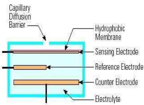 Gambar 2.1 Susunan sensor Elektrokimia