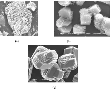 Figure 4 SEM of (a) rice husk ash, (b) sample with 24 h crystallization time (c) ZSM-5 from TEOS-TPABr