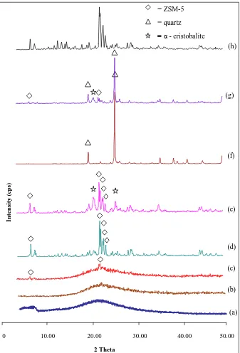Figure 1 crystallization times:  (b) 6 h, (c) 12 h, (d) 24 h, (e) 48 h, (f) 72 h, (g) 96 h, (h) XRD patterns of (a) rice husk ash, and samples at various ZSM-5 from TEOS-TPABr