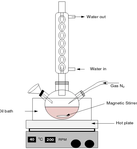 Figure 1 Equipment used for the synthesis of SPS. 