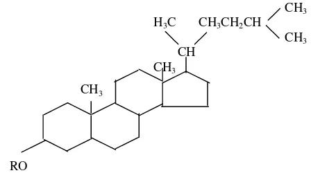 Gambar 1  Struktur Kimia Kolesterol 
