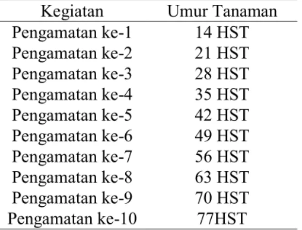 Tabel  1.  Pengamatan  Hama  Kutu  Daun  Persik 